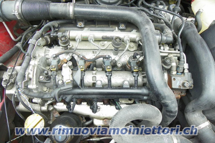 Rimuoviamo iniettori da Fiat / Lania / Opel con
                il motore 1.3 Multijet